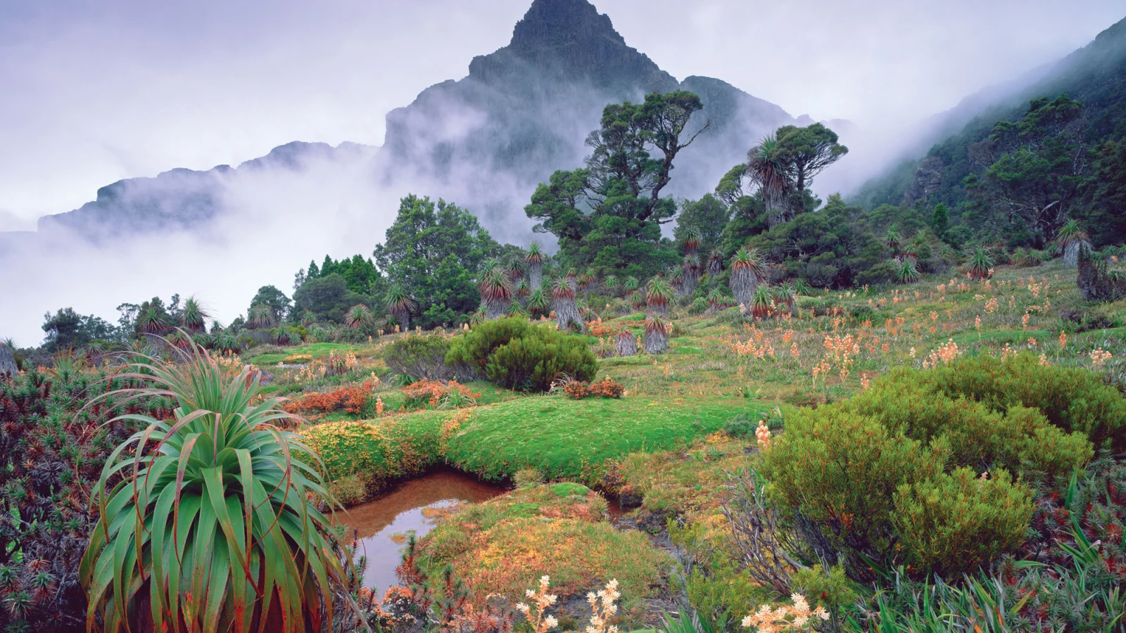 Tasmanien - Vorschaubild Wildnis & Wildlife pur