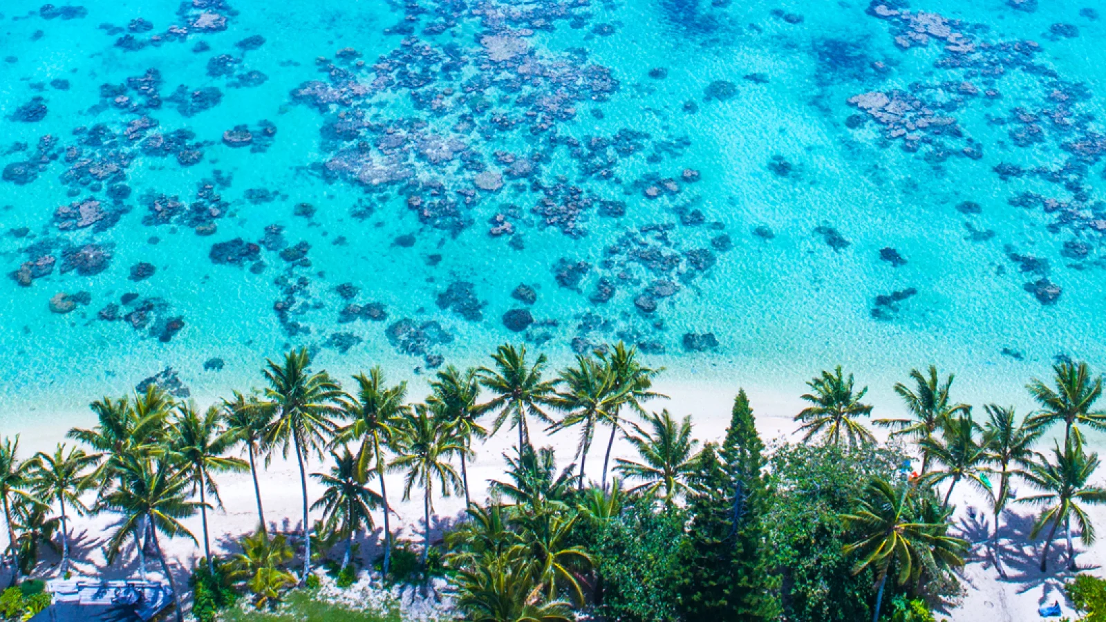 Südsee - Cook Islands - Kopfbild - Aitutaki