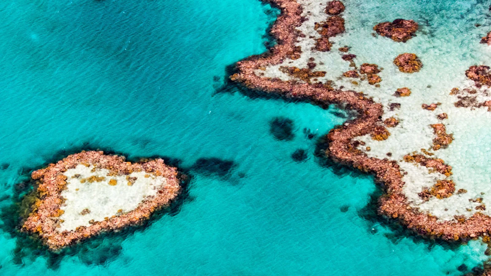 Queensland - Kopfbild - Great Barrier Reef