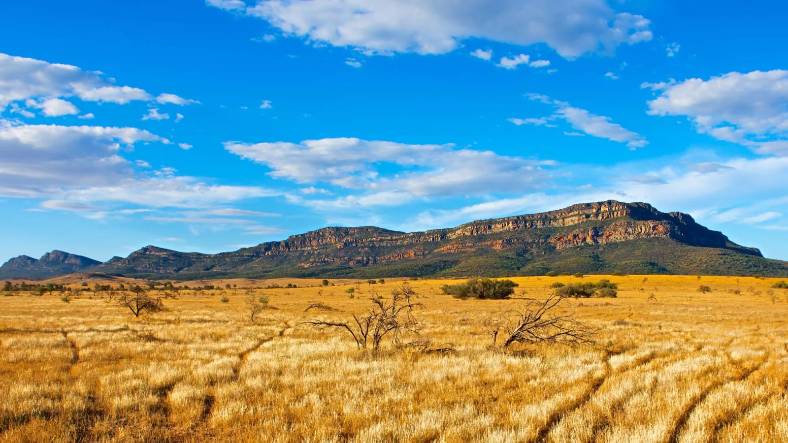 Flinders Ranges - South Australia - Landscape