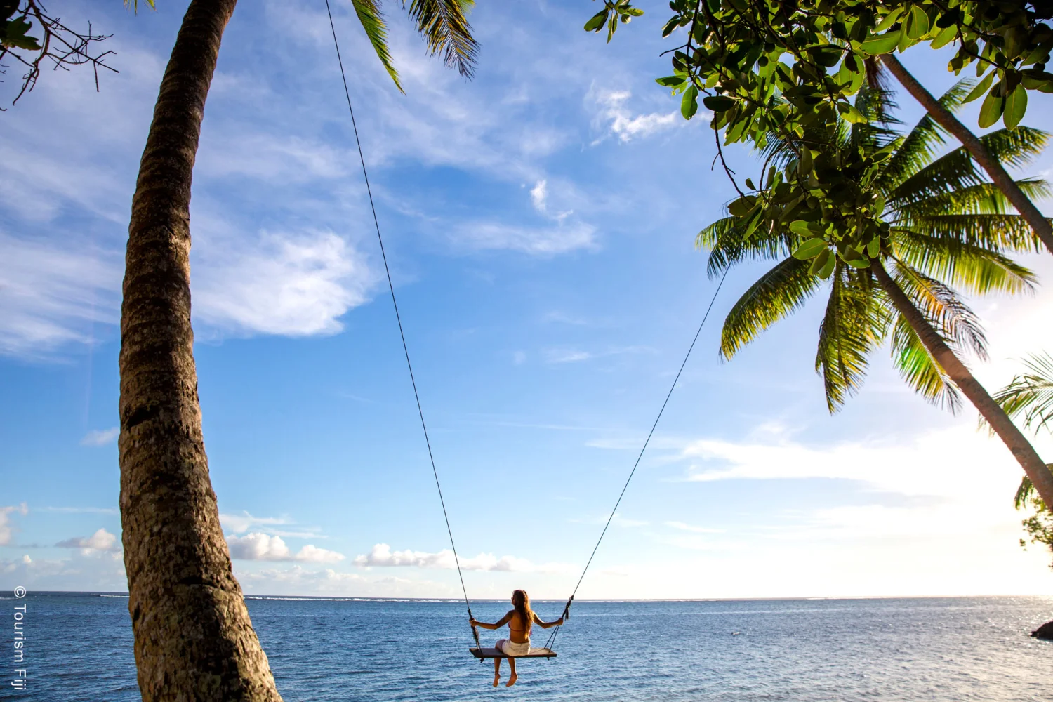 Fiji - Coral Coast - Beach Swing