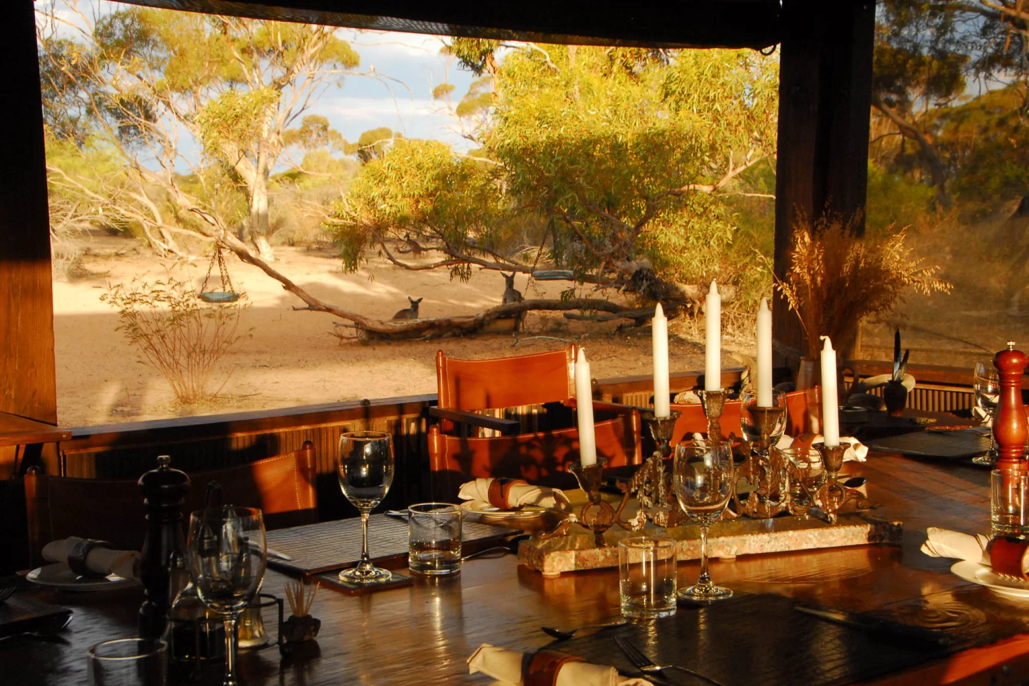Gawler Ranges - dining room with kangaroos in the background - Kangaluna Camp - South Australia