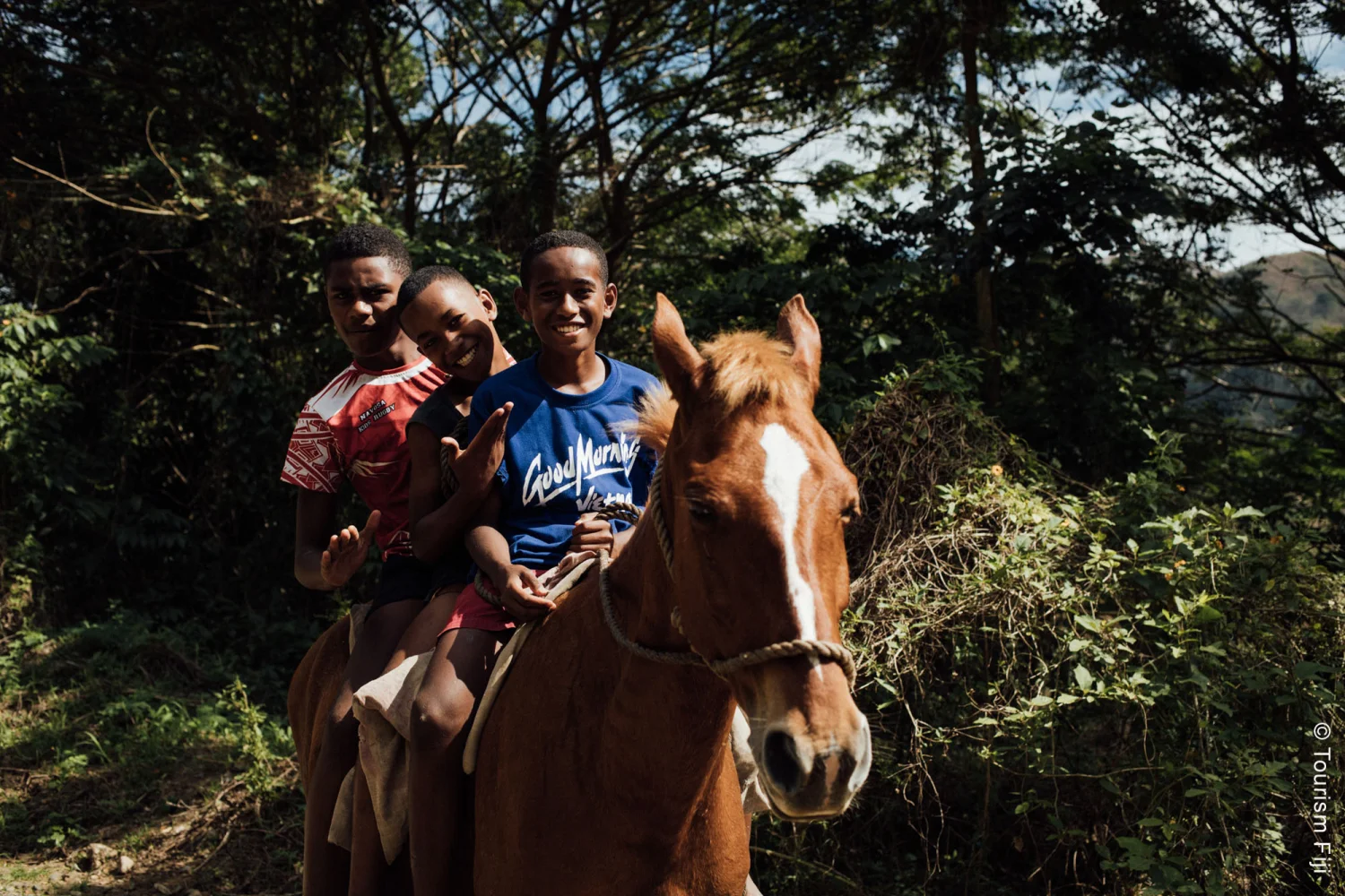Fiji - Fijian Kids riding horse