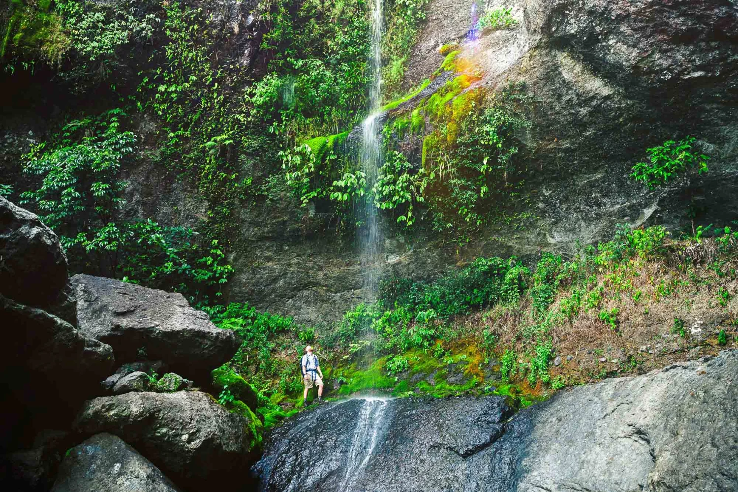 Fiji - Koroyanitu National Park - Waterfall