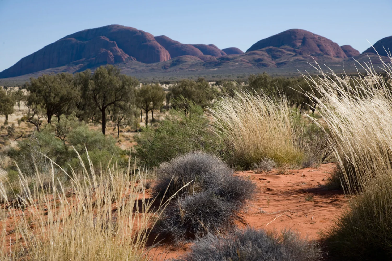 Wayoutback - Olgas - Outback - Red Centre