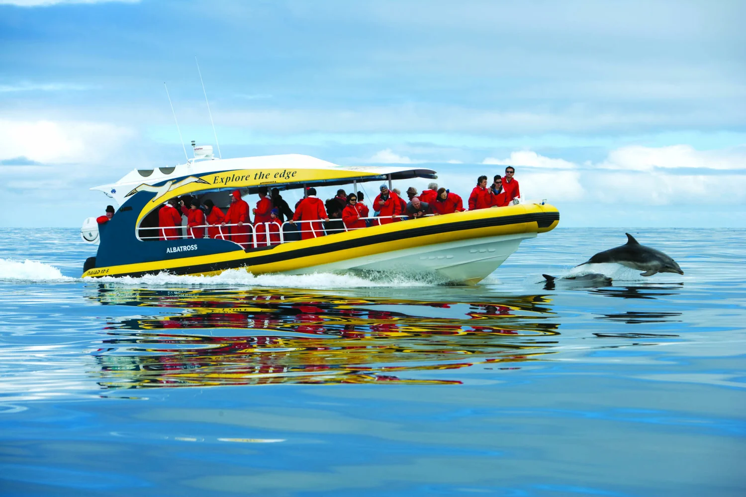 Bruny Island Cruises - PWJ boat with dolphin