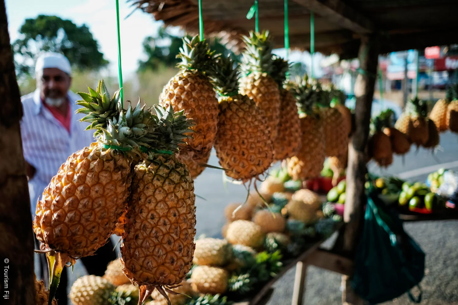 Fiji - Roadside Market - Pineapple