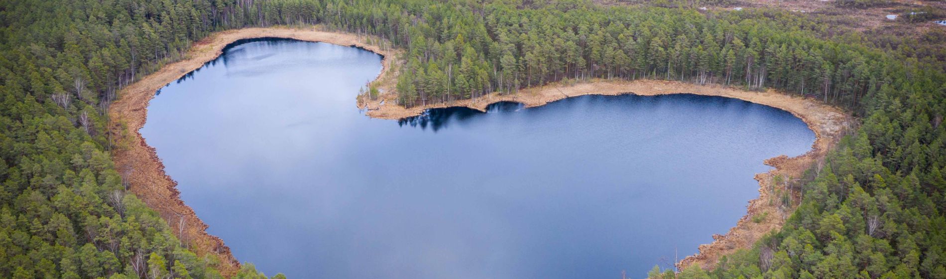 aerial_view_to_the_natural_heart-shaped_forest_lake_on_parika_nature_reserve_viljandi_estonia.jpg