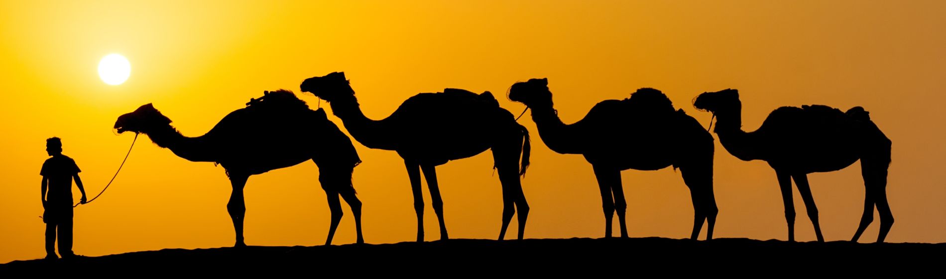 camel_caravan_going_through_the_desert.jpg