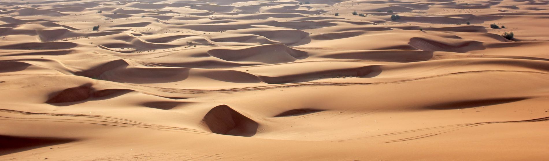 sand_dunes_in_the_desert..jpg