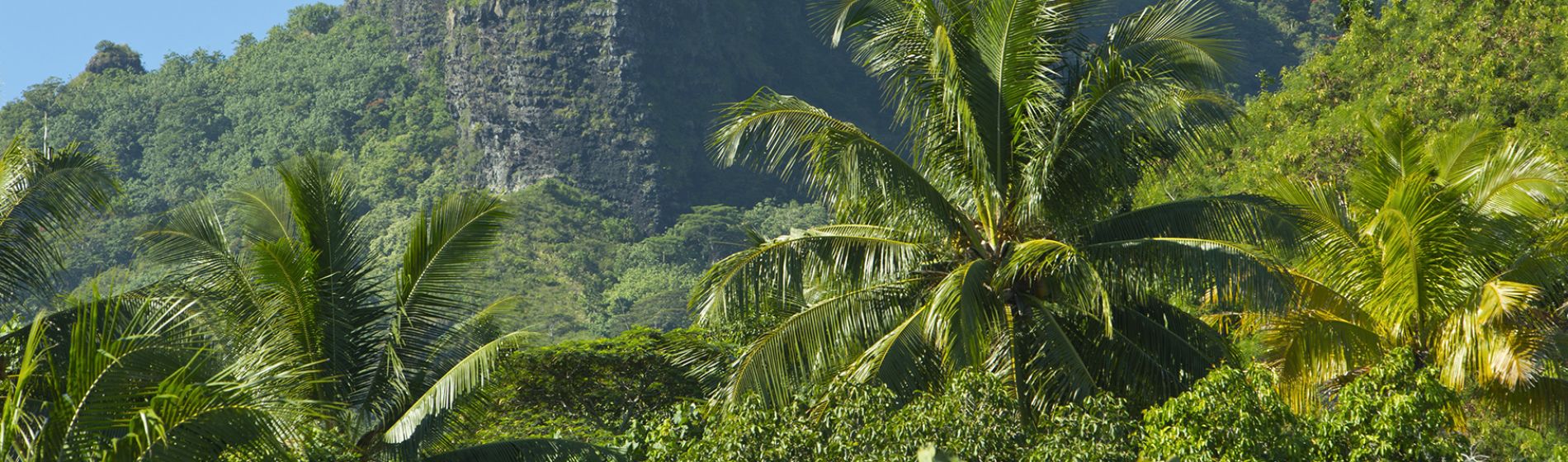 tahiti-tourisme_8_.jpg