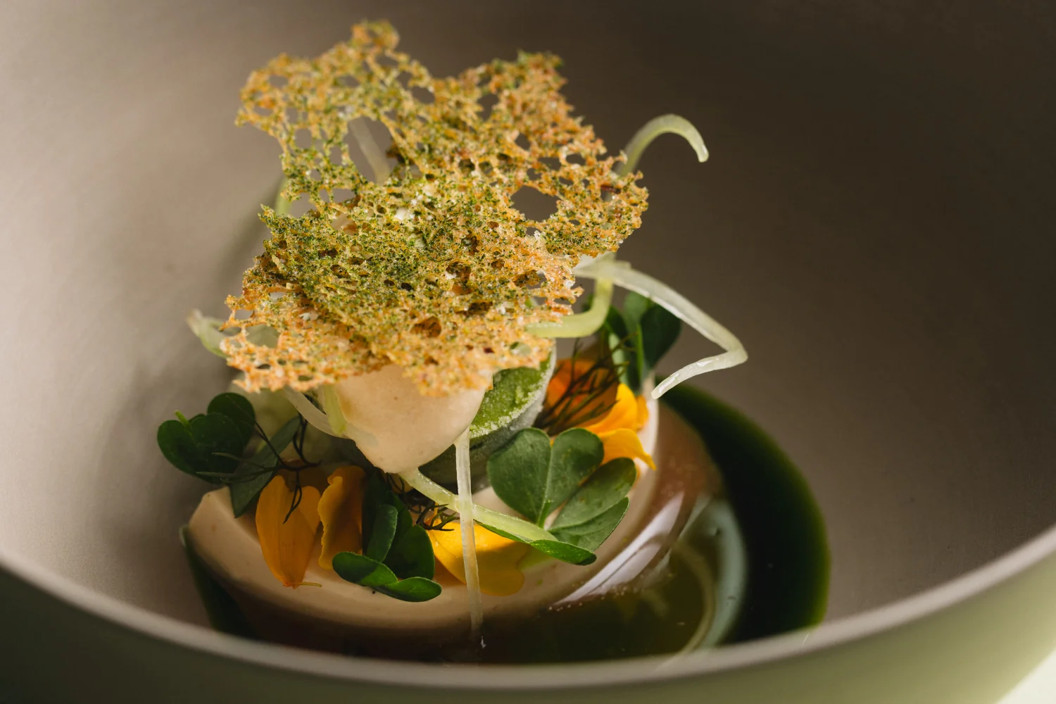 Gourmetfestival Excellence Countess