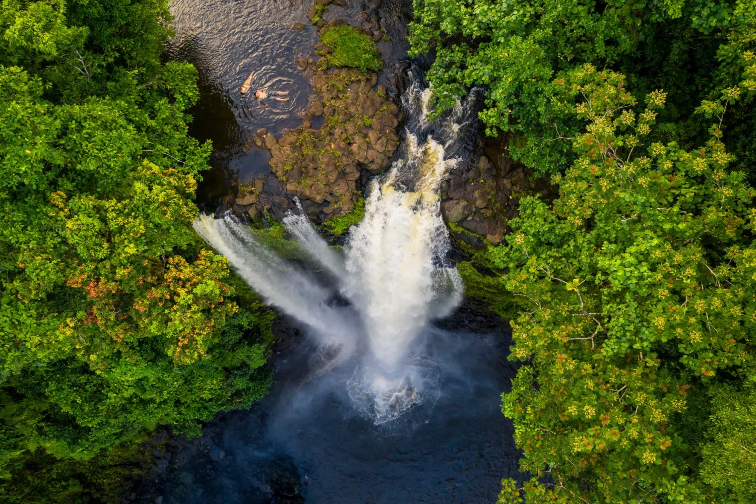 Samoa - Südsee - Fuipisia Waterfall - East Upolu