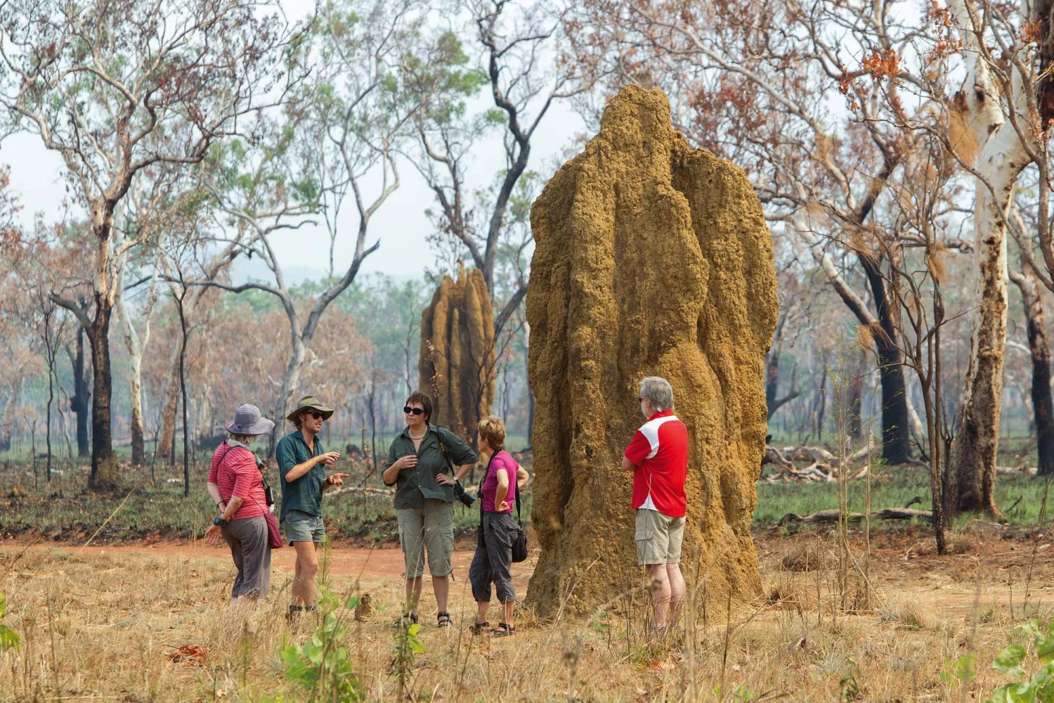 Venture North - Arnhemland Land - Termite Nest - Top End