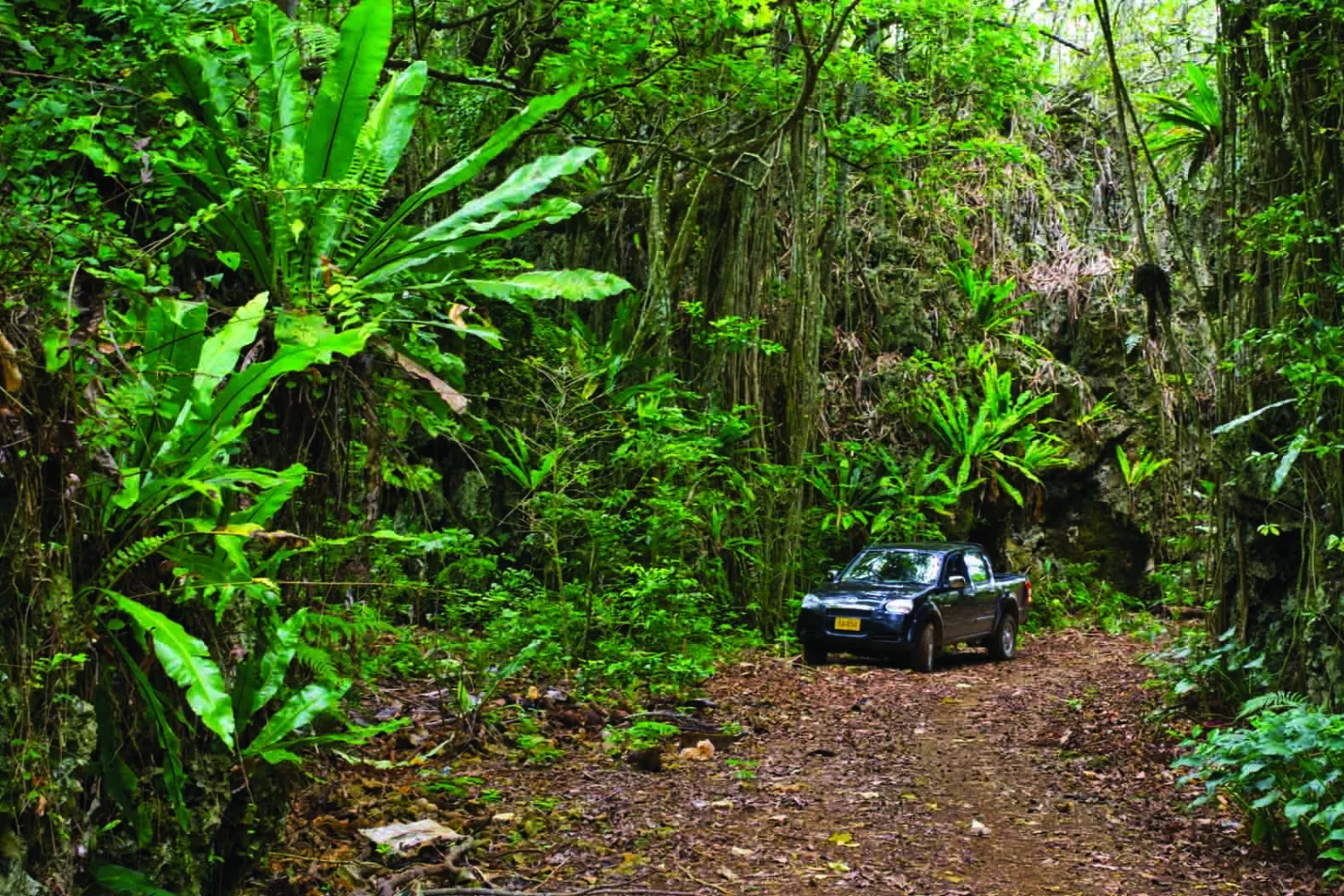 Atiu - Southern Group Adventure Package - 4wd discovery tour