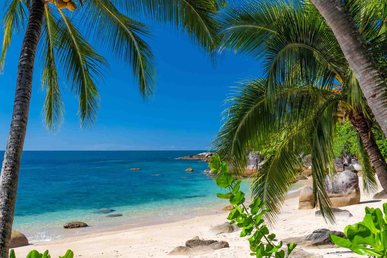 Bedarra Island - Great Barrier Reef - Beach_2 - TEQ
