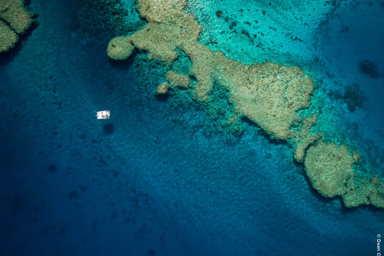 NC - Catamaran - East Coast