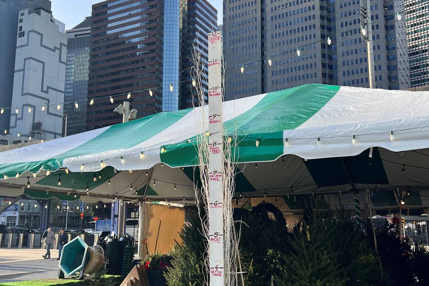 Christbäume kaufen NYC