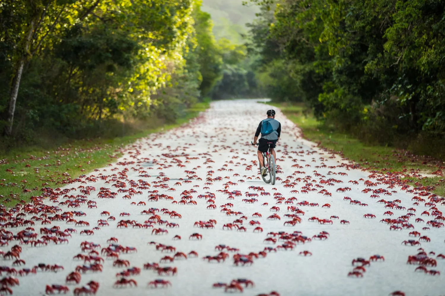 Christmas Island