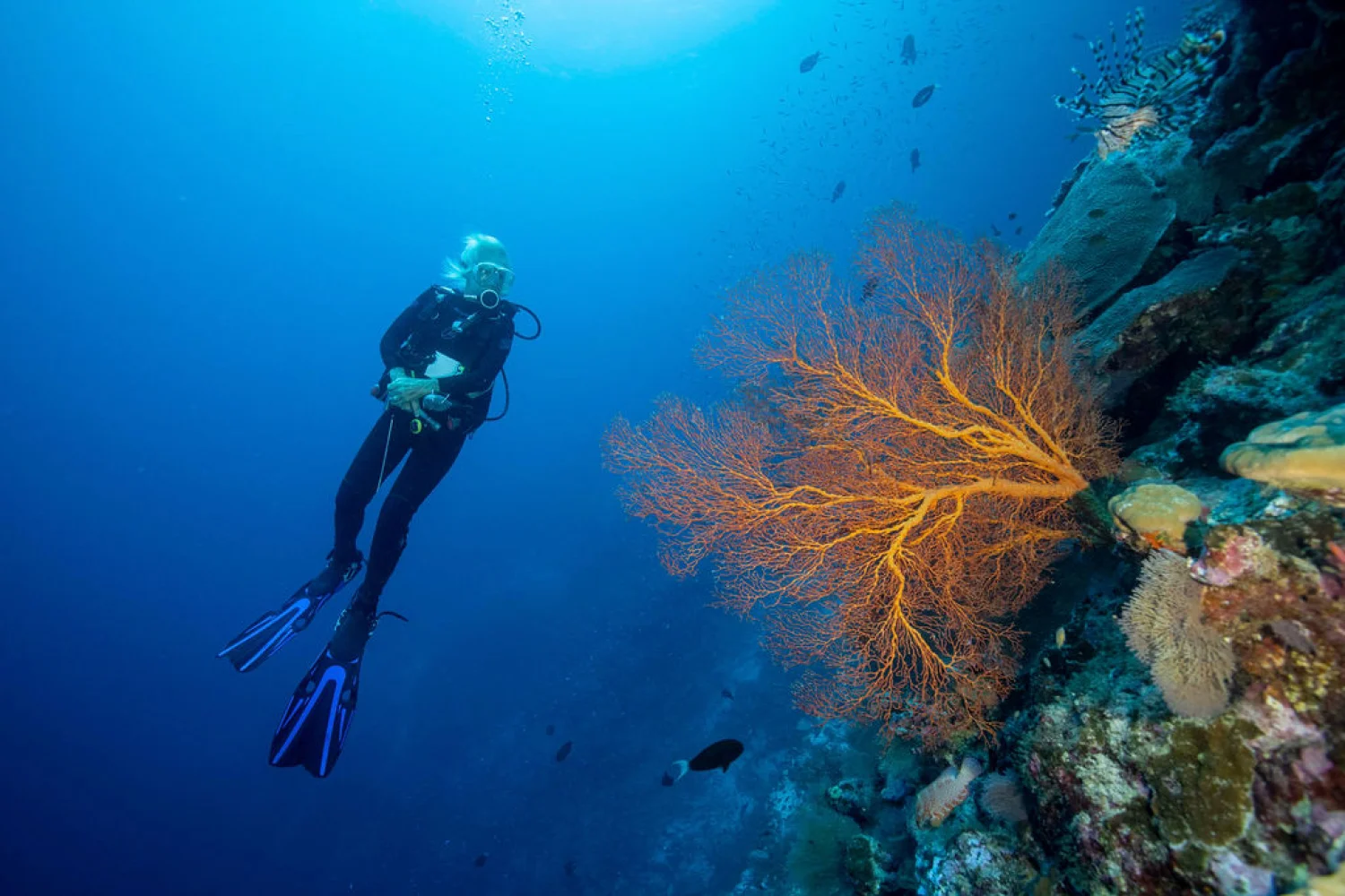 Christmas Island Scuba Diving-1