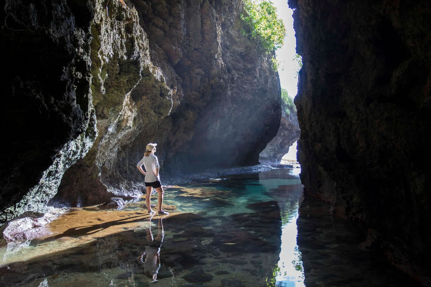 Christmas Island Walking Trails