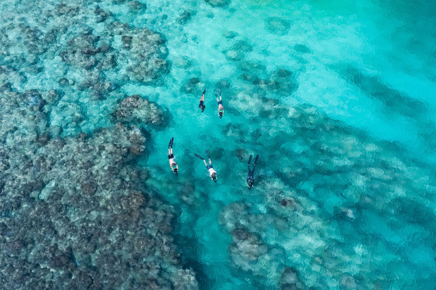 Christmas Island Snorkelling