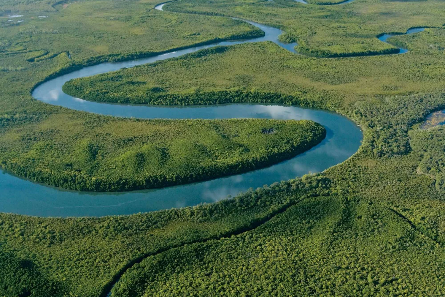Cape York - Daintree River - Tropical North Queensland