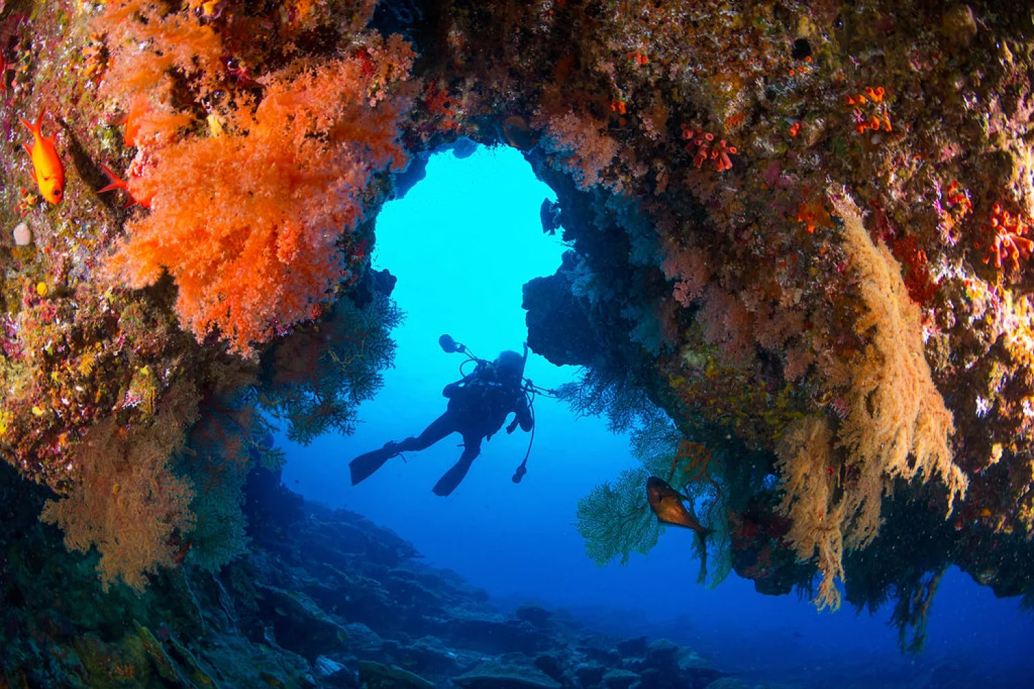 Christmas Island Scuba Diving-2