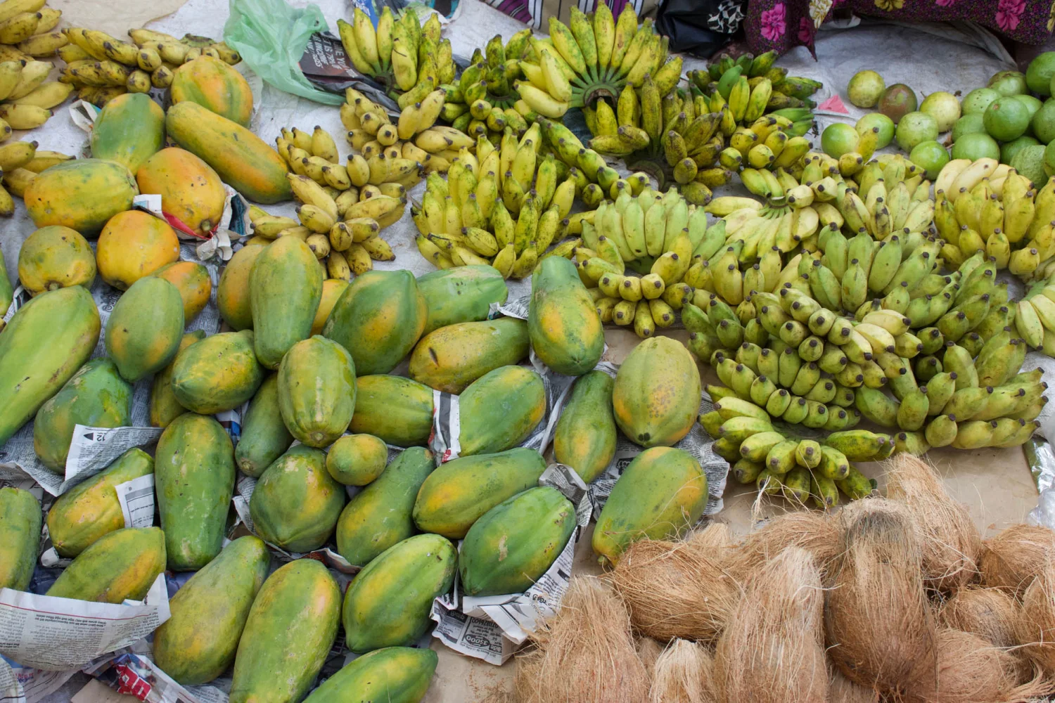 Sri Lanka - Früchtestand - Negombo