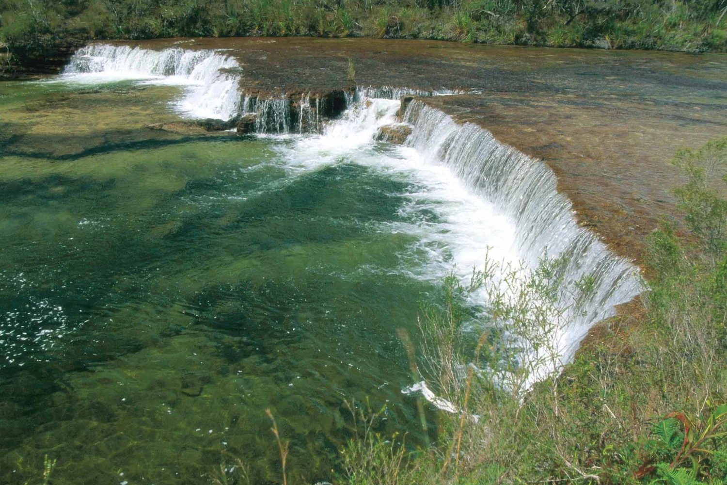 Cape York - Fruit Bat Falls - Jardine River NP - Tropical North Queensland
