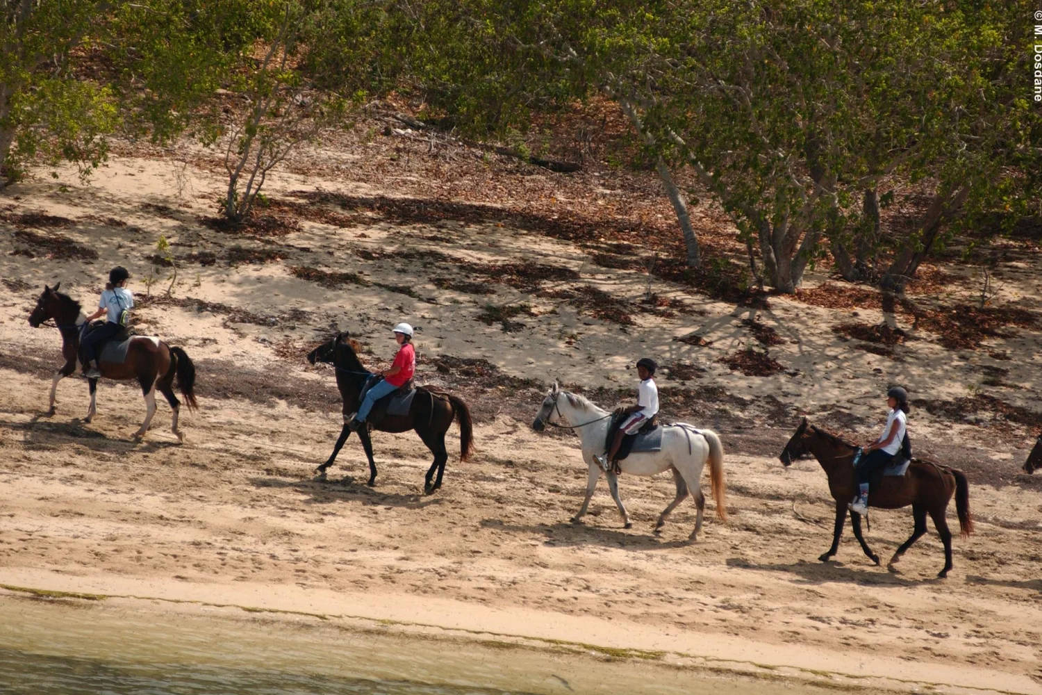 NC - horseback riding