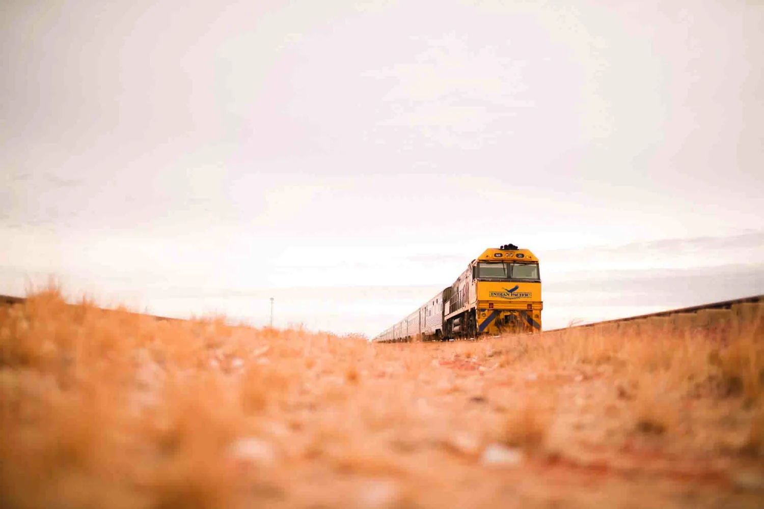 Indian Pacific - Great Southern Rail - Hero