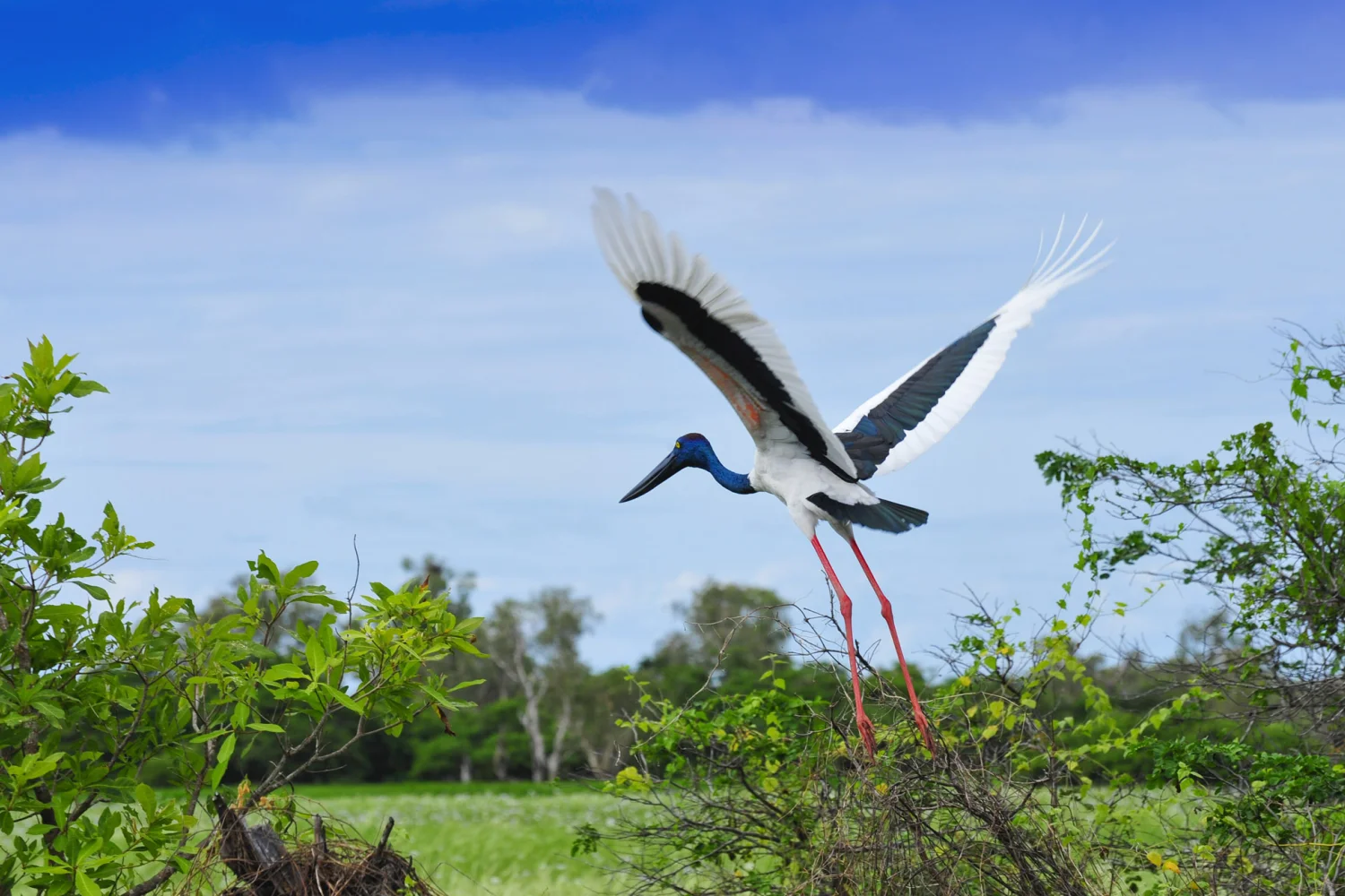 Northern Territory - Jabiru - Kakadu NP