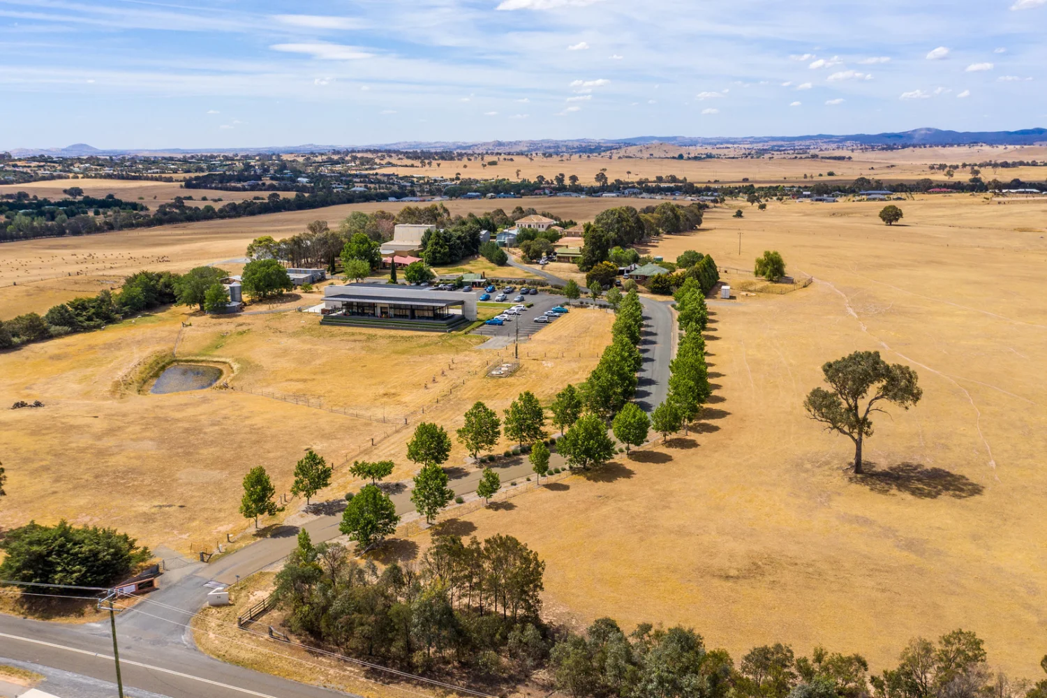 Great Southern - Canberra - Vintners Daughter