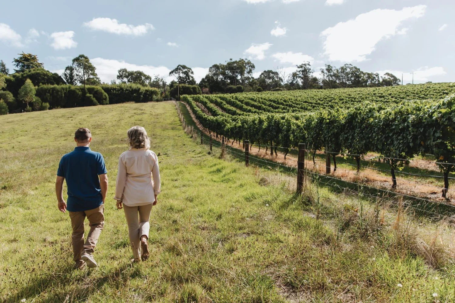 Indian Pacific - Barossa Valley