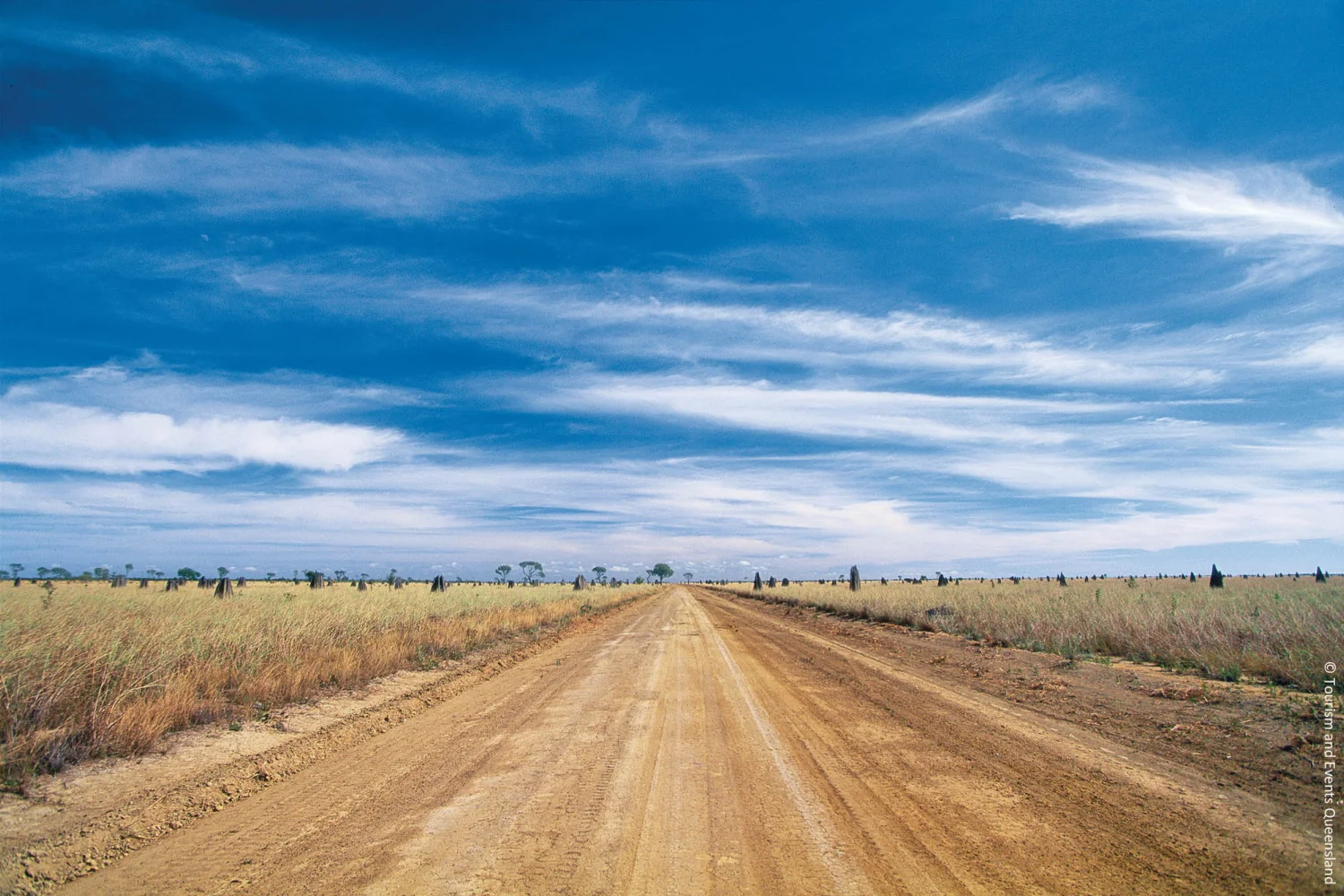 Cape York - Lakefield NP - Tropical North Queensland