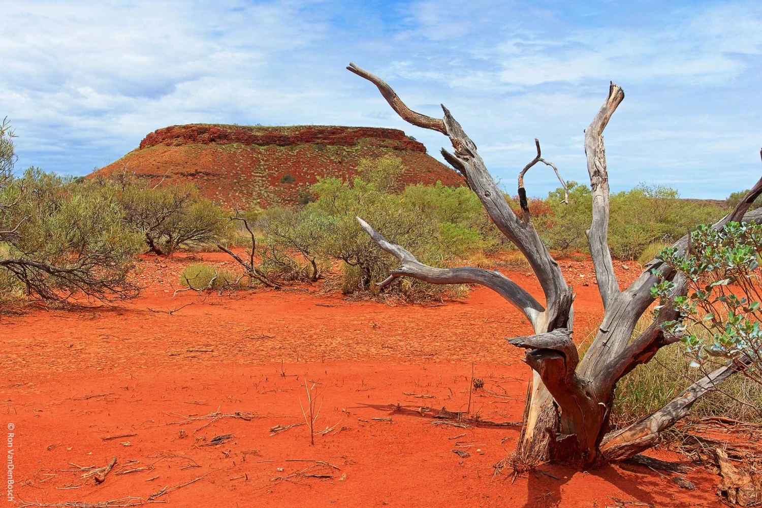 Nanutarra - Pilbara Region - stopp on the way to Karijini NP