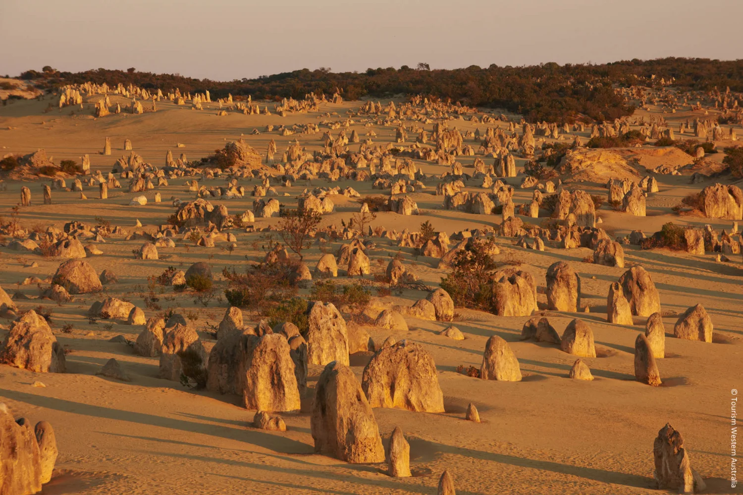 Pinnacles - Nambung Nationalpark