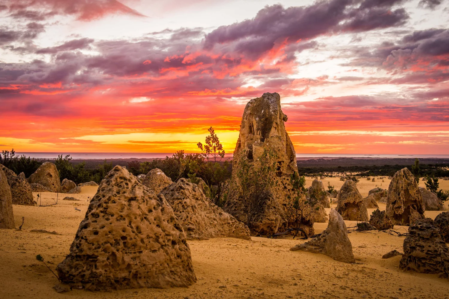 WA Coral Coast - Pinnacles Od Nambug National Park