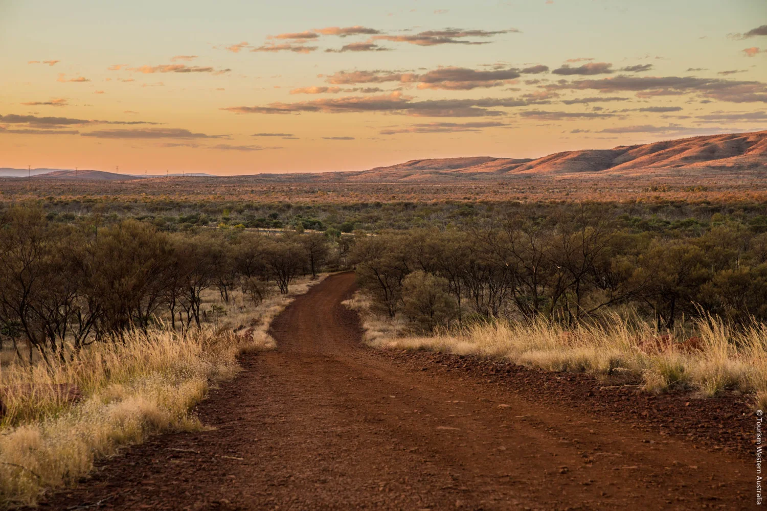 Road from Tom Price to Karijini NP