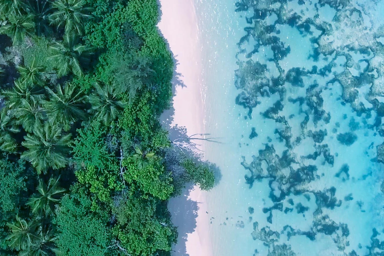 Seychellen - Kopfbild_2