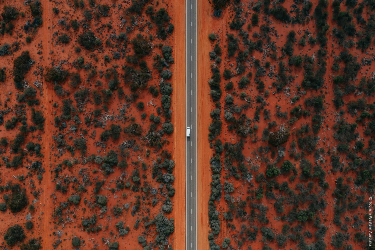 Shark Bay World Heritage Area - Coral Coast