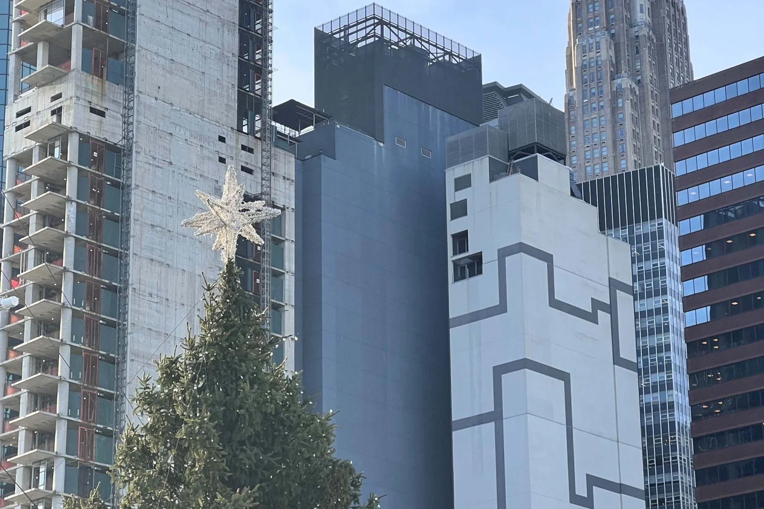 Tannenbaum