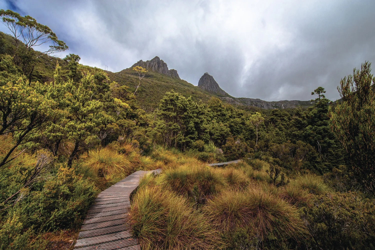 Kopfbild Cradle Mountain - Wildnis & Wildlife - Tasmanien