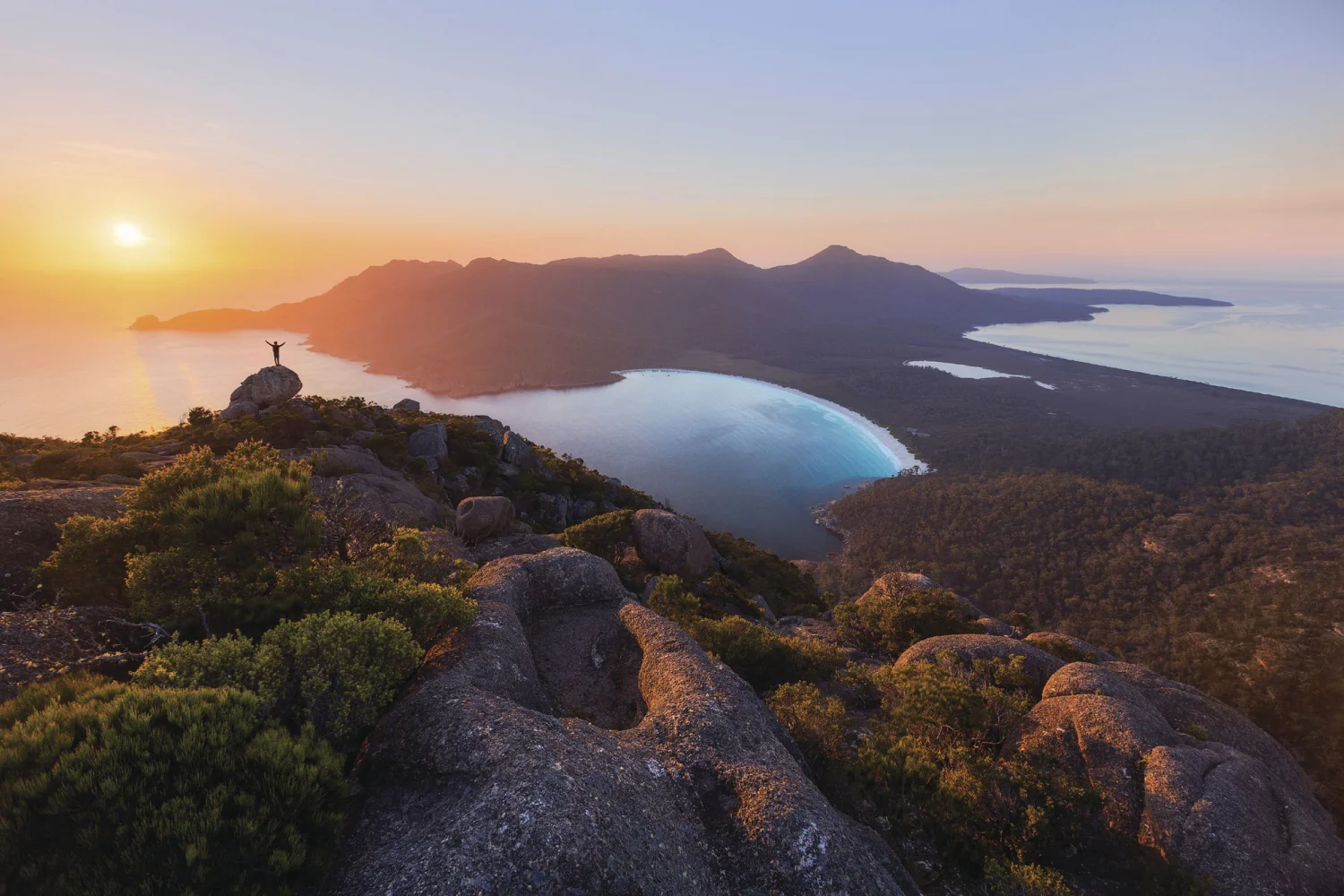 Kopfbild - Wildnis & Wildlife - Tasmanien