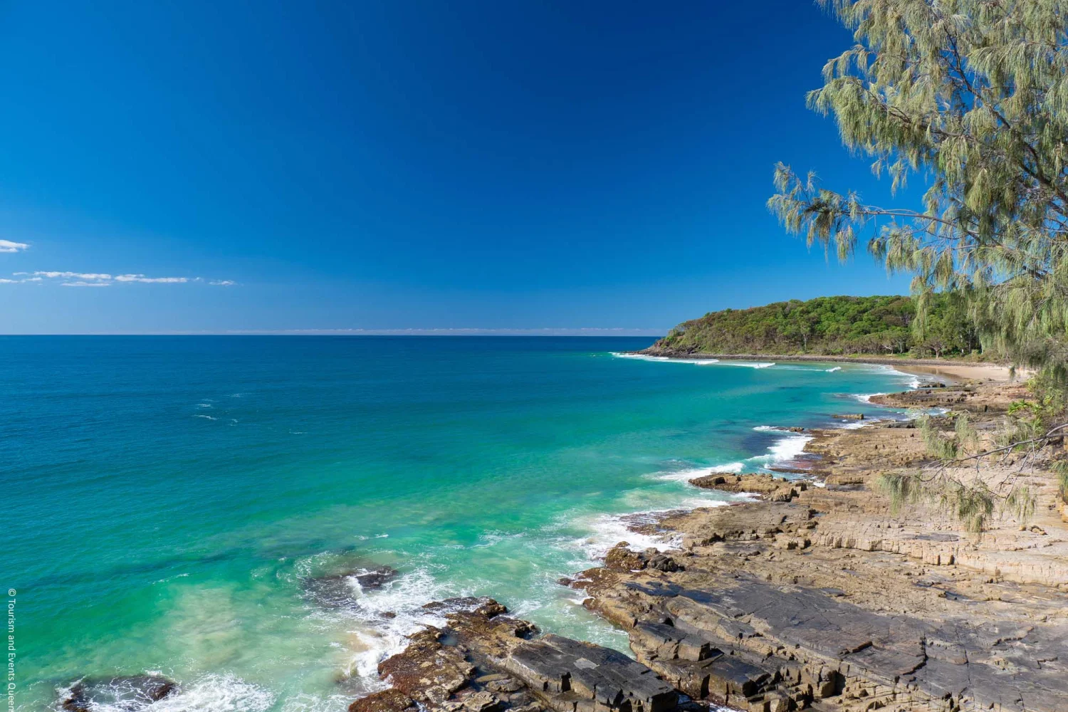 Tea Tree Bay - Noosa Nationalpark - Queensland