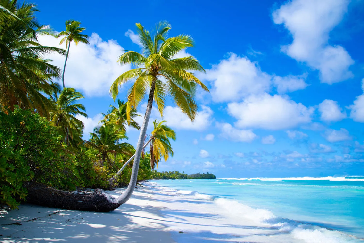 Cocos Keeling Islands - The Spot