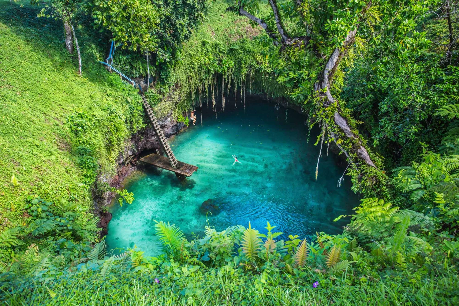 Samoa - Südsee - To Sua Ocean Trench - Upolu