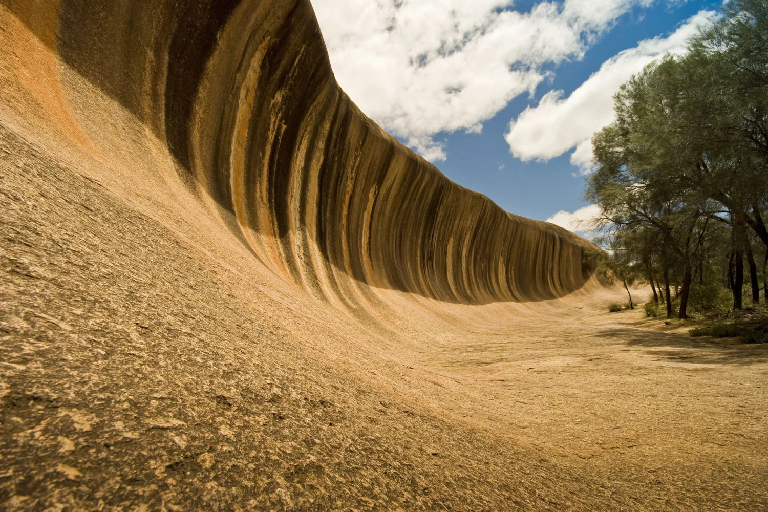 WA Golden Outback - The Wave