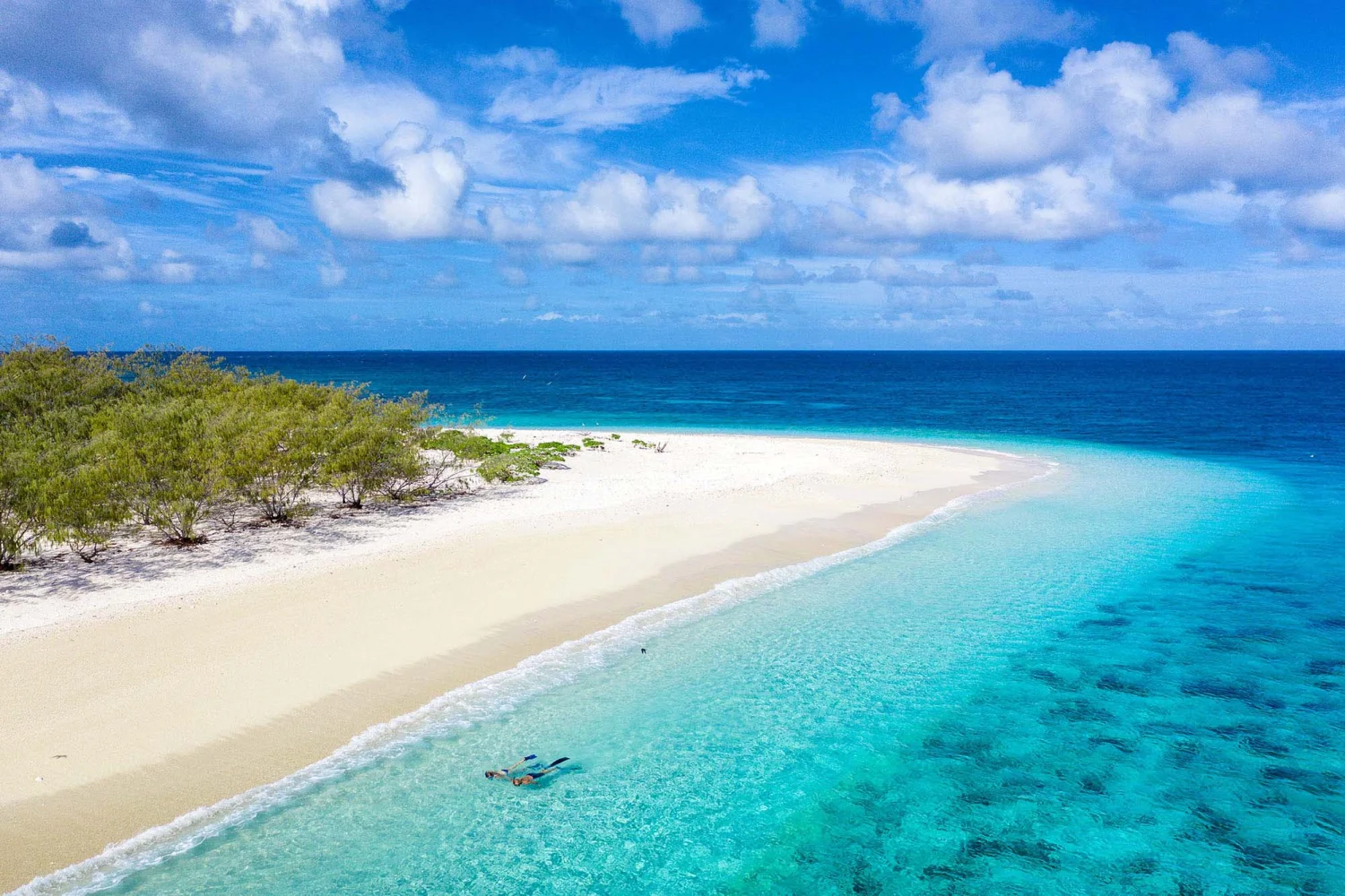 Wilson Island - Great Barrier Reef - Beach and Snorkel - TEQ
